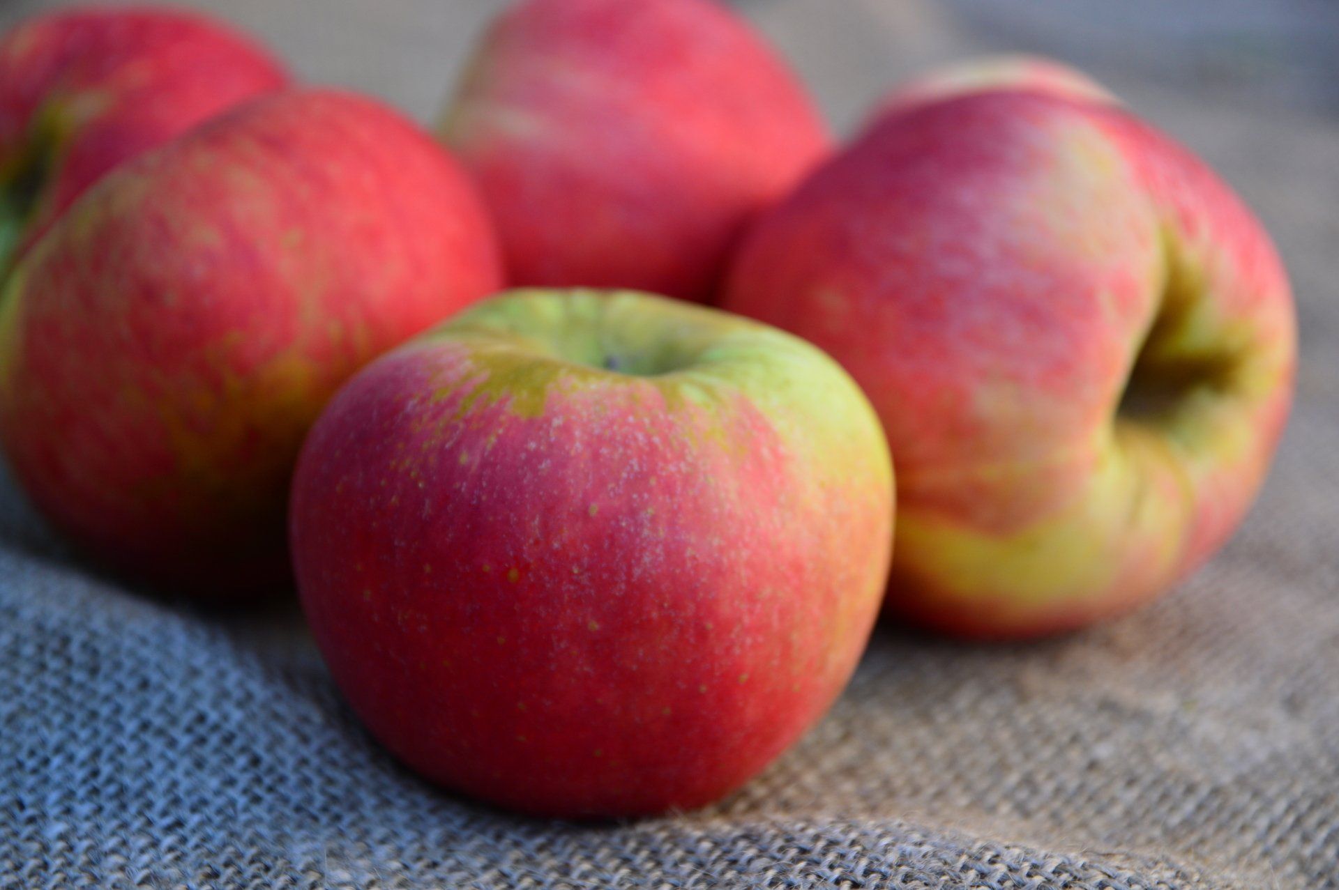 Obst- und Gemüsehof Wenk